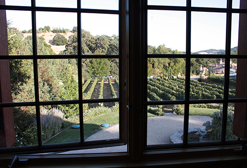 Vineyard in front of French chateau in Alhambra Valley.  Martinez, CA.